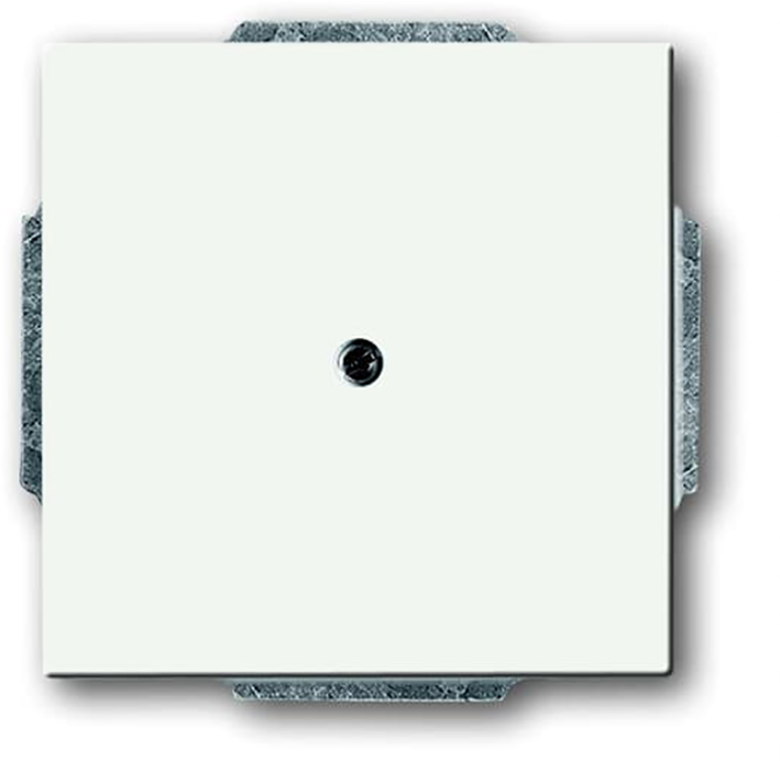 Busch-Jaeger mat witte blindplaat met draagframe 1742-884